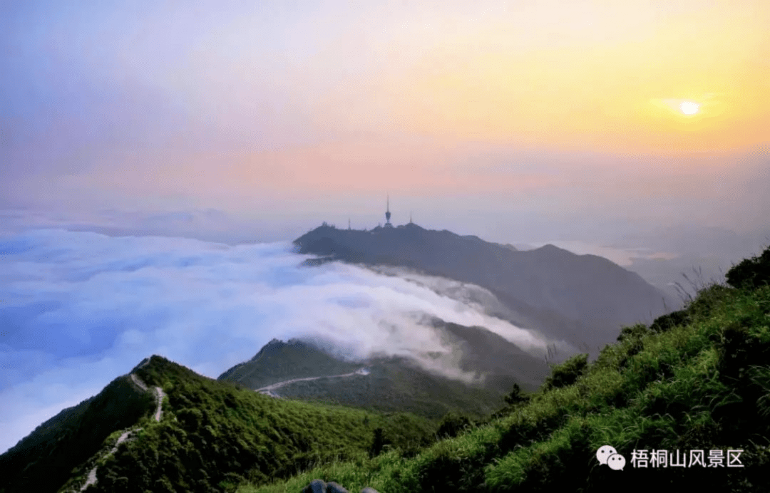 廣東深圳梧桐山旅游景點