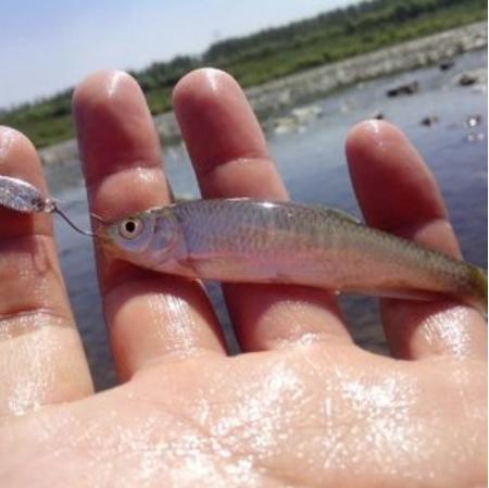 奢華工藝之巔，世界上最昂貴的魚(yú)竿揭秘