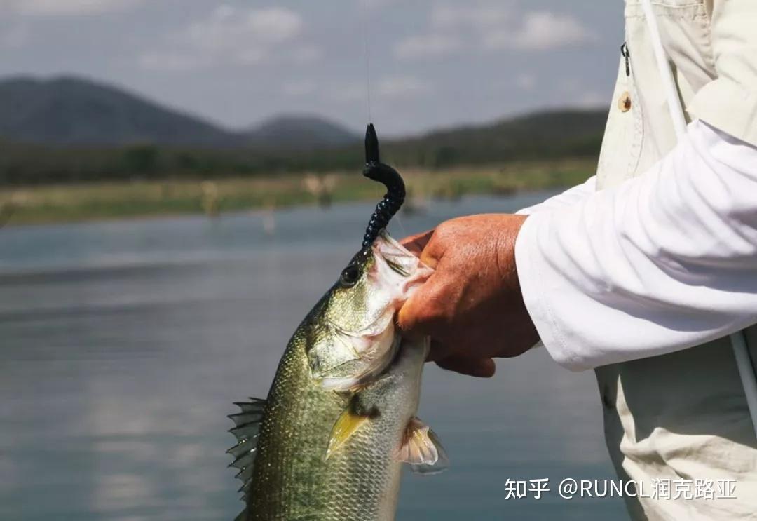 路亞水混，自然魅力的探索與挑戰(zhàn)