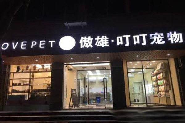 寵物美容店加盟全攻略，一站式指南