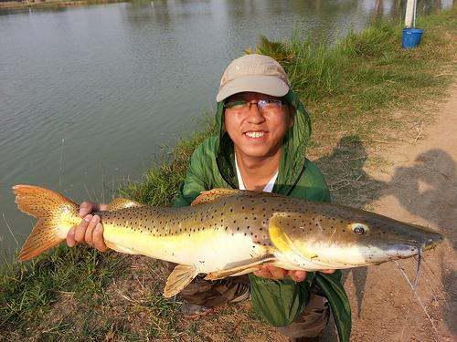 大連路亞淡水魚