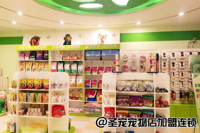 陕县宠物店，宠物乐园的温馨港湾