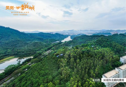 廣東深圳山景，城市中的自然綠洲之美