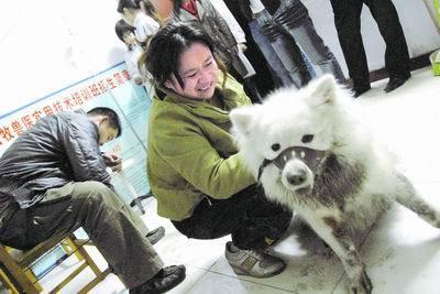 狗狗芯片的作用與重要性解析