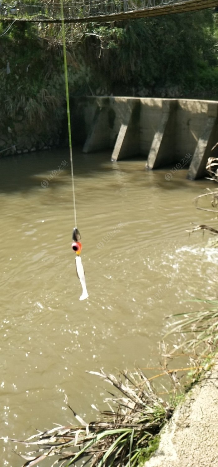 義烏周邊路亞釣魚勝地探索指南