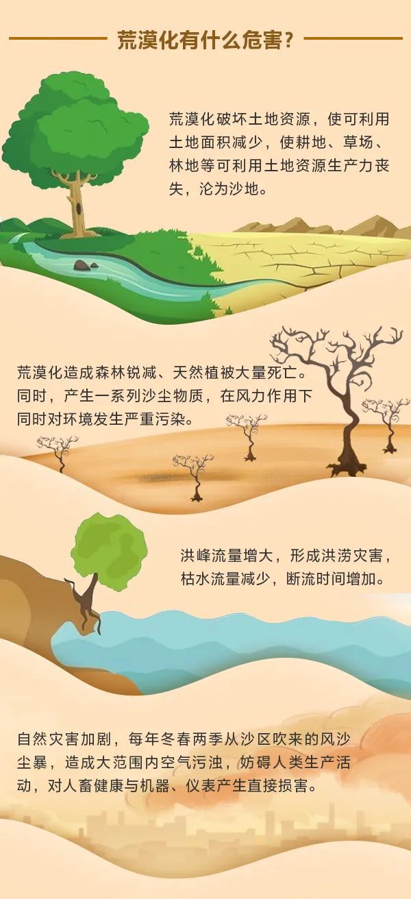 全球沙漠化挑戰(zhàn)與應對策略的英語作文探討