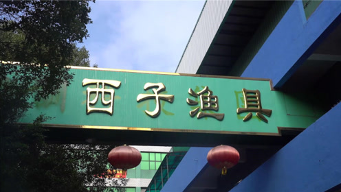 路亚与葛店的独特结合，探索之旅新篇章