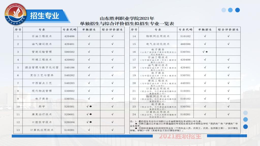 胜利学院，专业力量铸就卓越追求的教育殿堂