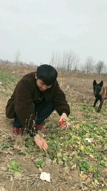 狗狗挖地探秘奇妙世界