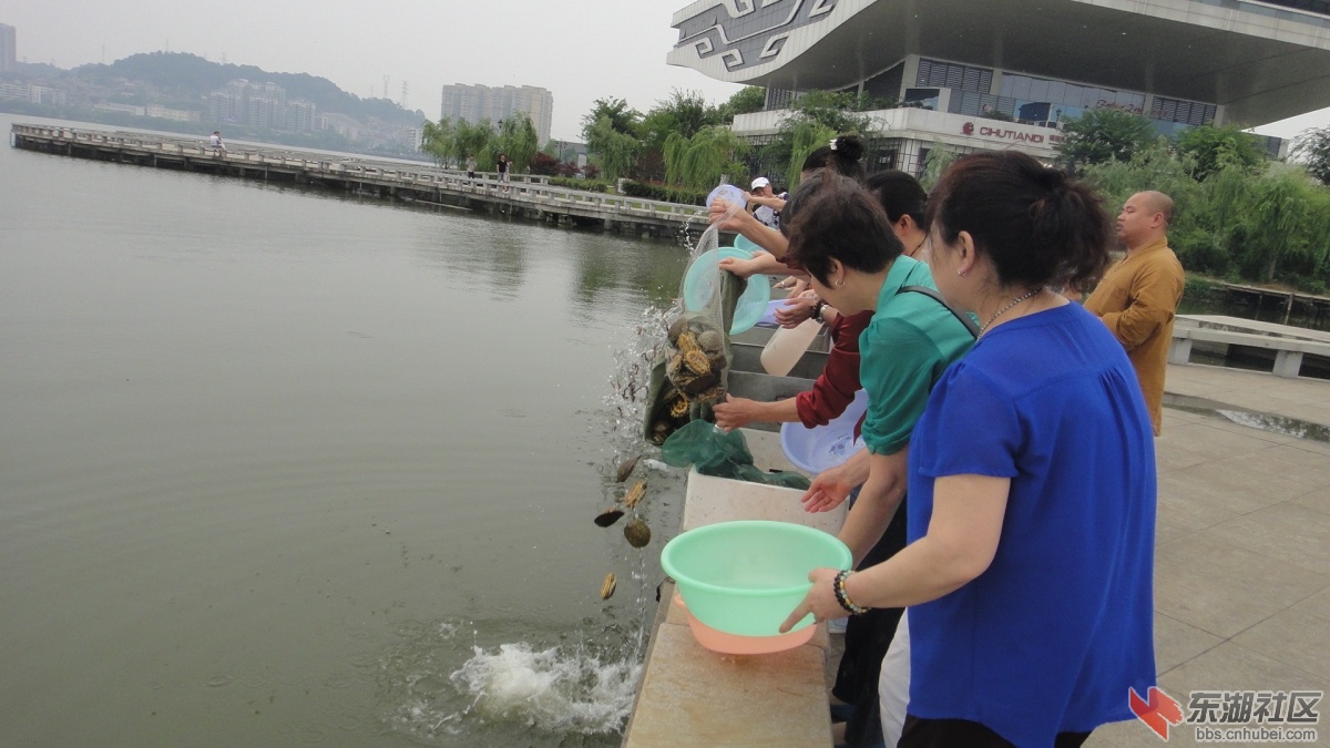 广东深圳放生之道，人与自然和谐共融之道