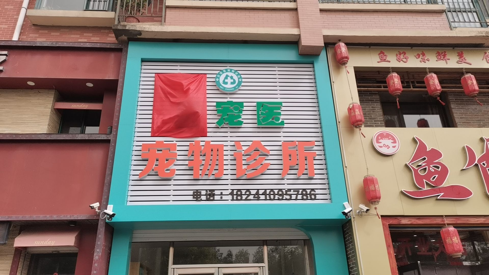 宠物诊所店名魅力与运营策略之道