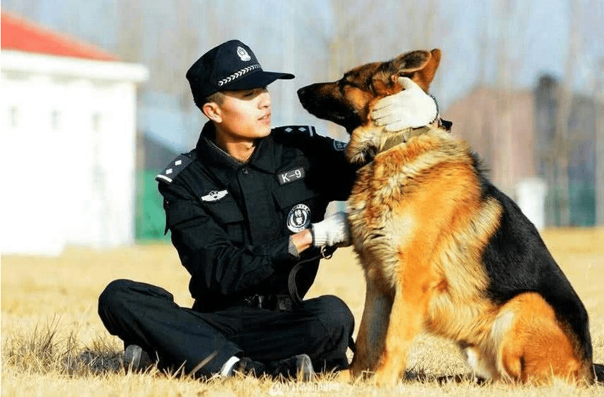 警犬狗狗，无言的守护者，忠诚的守护者