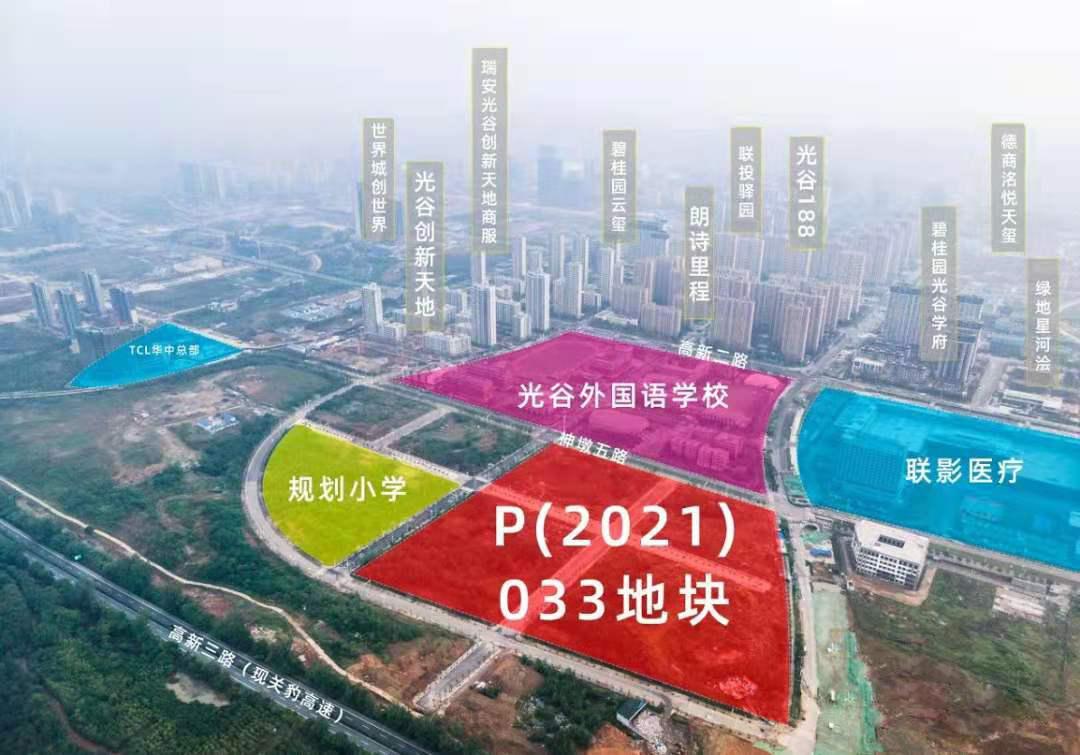 2024澳门今晚必开一肖,深度分析解析说明_豪华版64.874