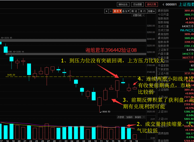 最准一码一肖100%凤凰网,前沿解答解释定义_专家版12.104