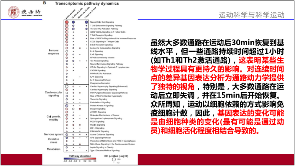 新奥门资料大全正版资料2024年免费下载,最新答案解释定义_尊享款87.30