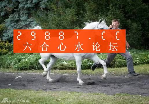 7777788888新版跑狗图,快速方案执行_网红版65.532